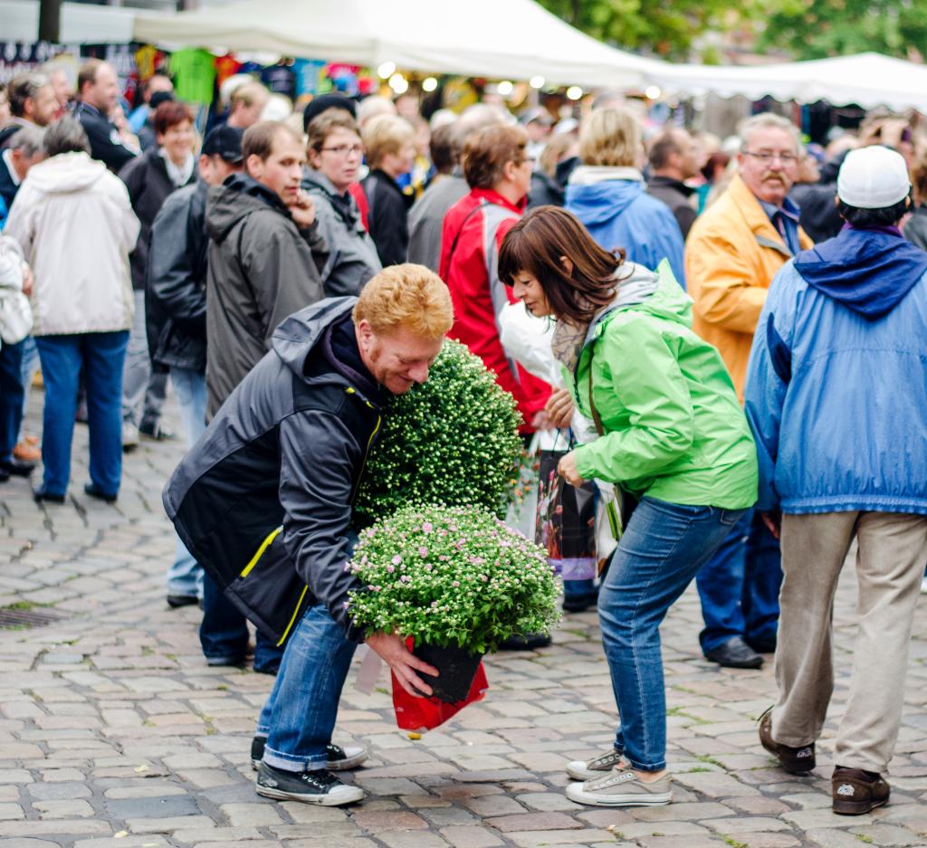 You are currently viewing Altona Fischmarkt