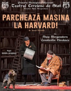 Read more about the article PARCHEAZĂ MAȘINA LA HARVARD