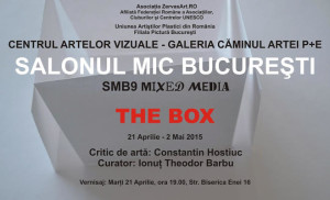 Read more about the article Apel participare Salonul Mic Bucuresti SMB9-2015