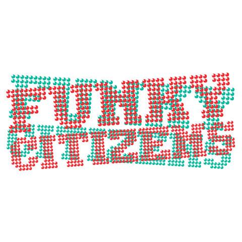 You are currently viewing Povestea educației civice cu și de la Funky Citizens