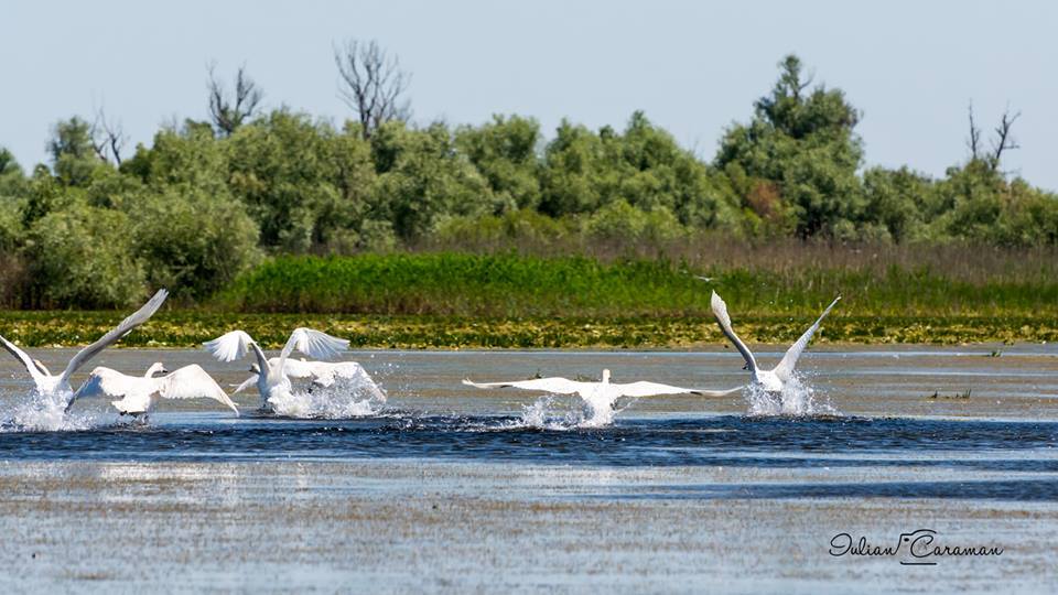 You are currently viewing Delta Dunării-colțul de rai al românilor